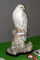 2006 girfalco